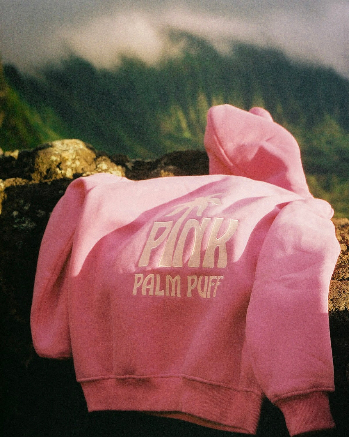 Classic Puff Hoodie in Raspberry