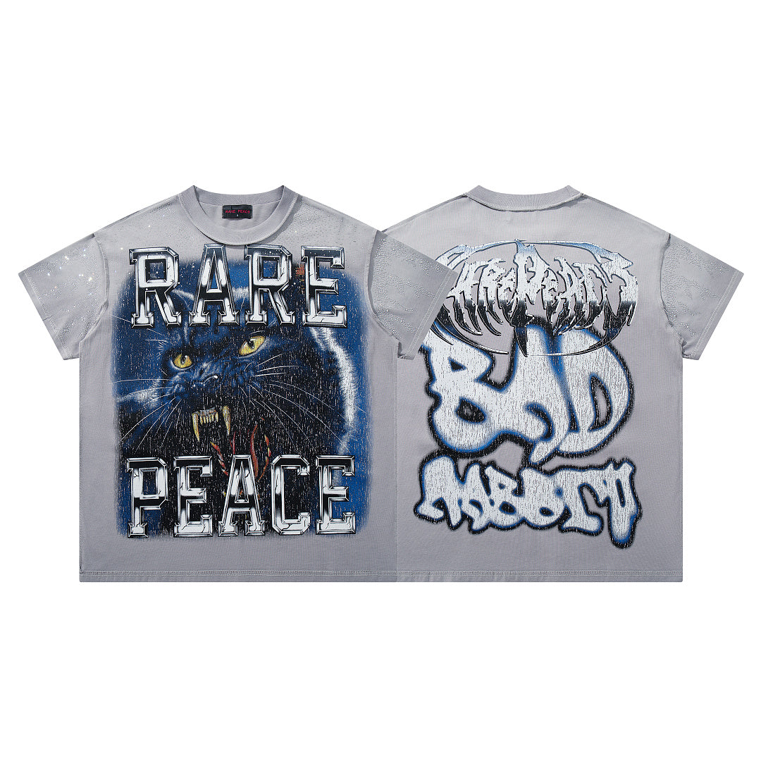 Rare Peace Vintage Horizon Crystal Graphic Relaxed Tee