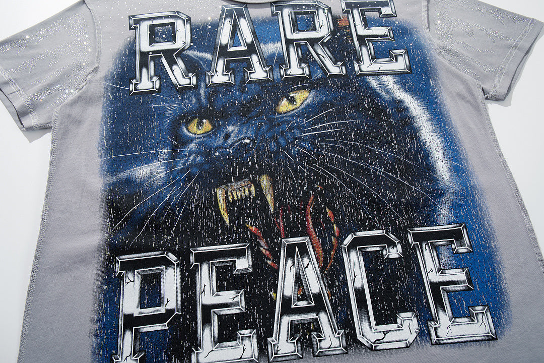 Rare Peace Vintage Horizon Crystal Graphic Relaxed Tee